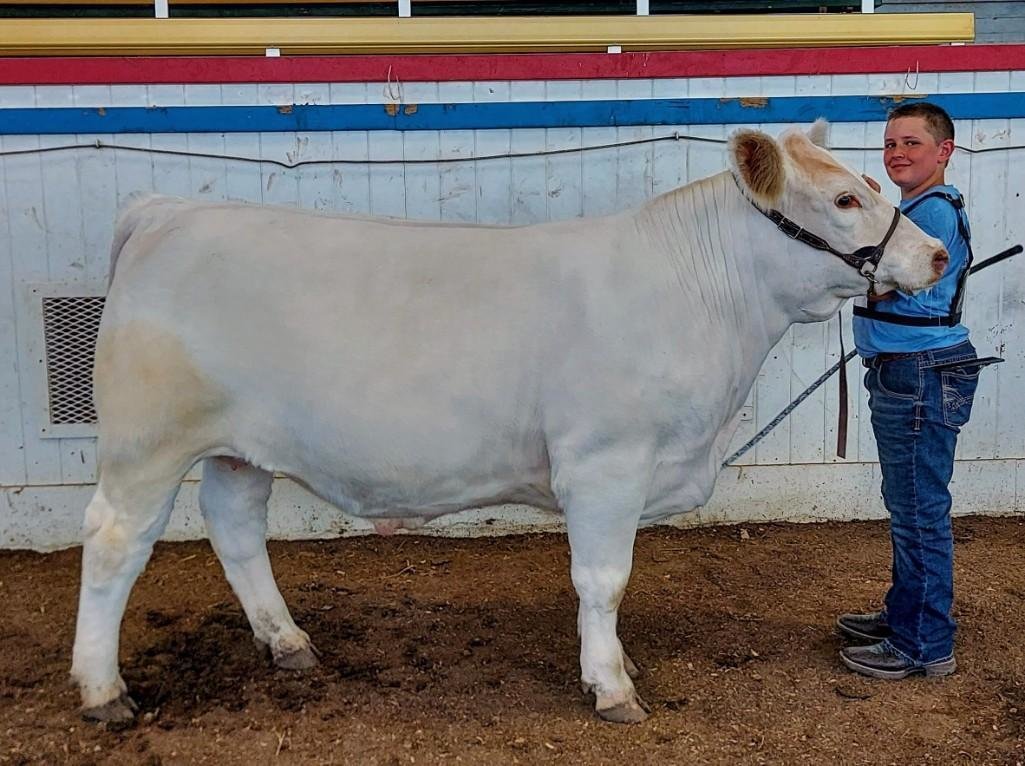 Image for Johnson County MO 4-H & FFA Livestock Auction