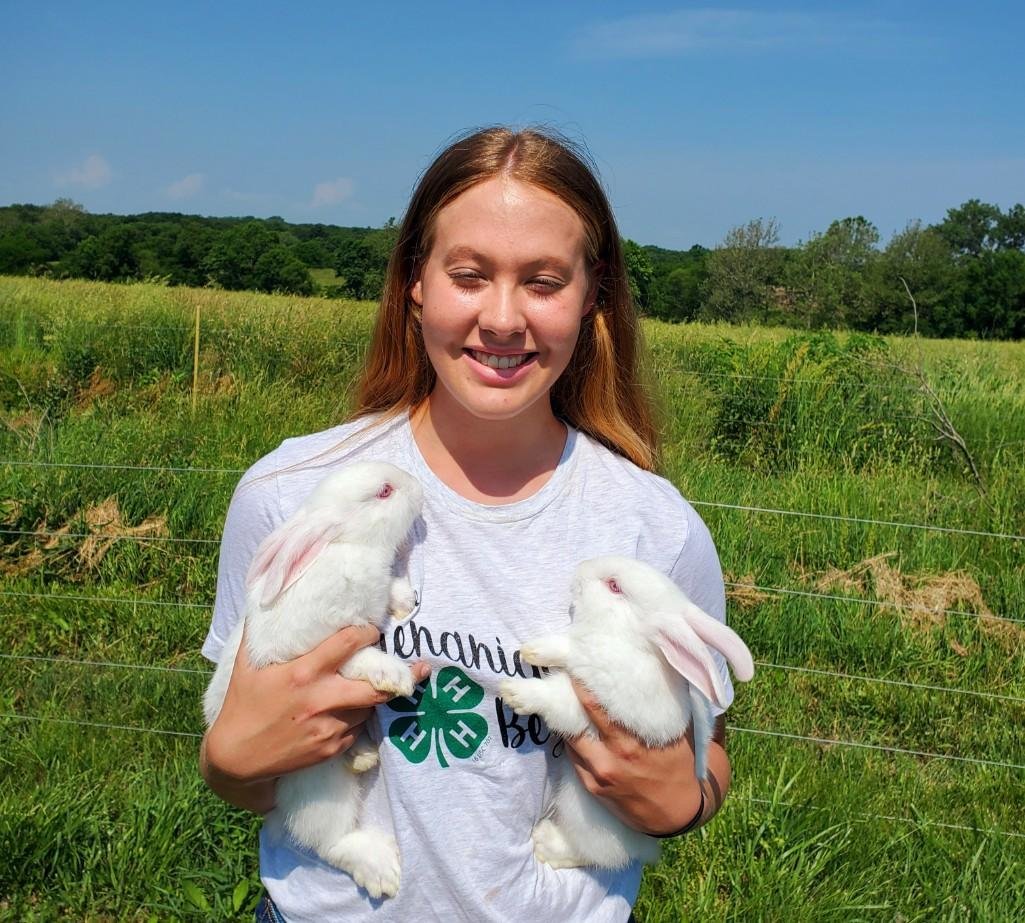 Image for Johnson County MO 4-H & FFA Livestock Auction