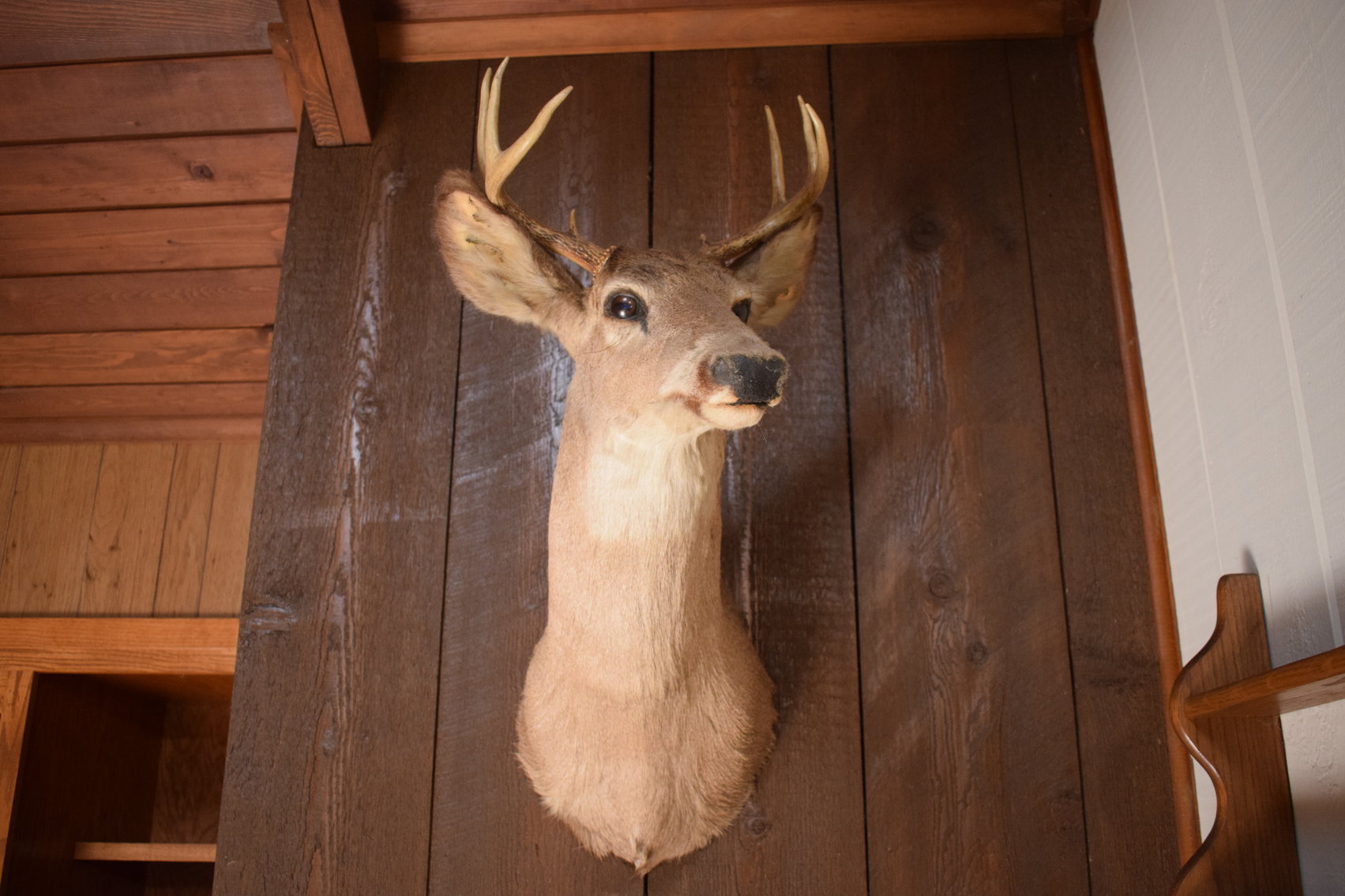 Image for TOWNSEND PERSONAL PROPERTY AUCTION