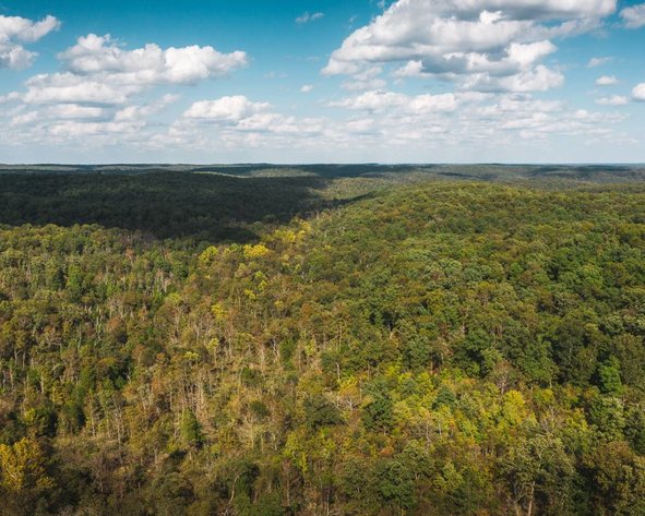 Image for Cadet Woodlands