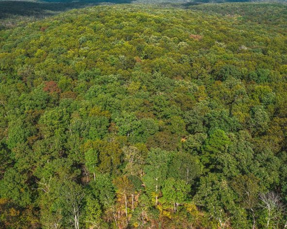 Image for Cadet Woodlands