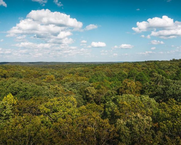 Image for Cadet Woodlands