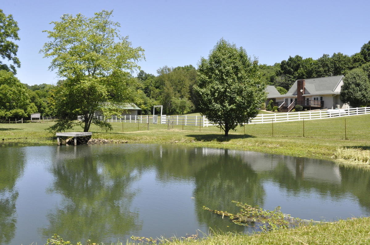 Image for Real Estate Auction – 5 Acres, 4 Bdr. Home, 4 Stall Horse Barn, Pond, Creek, Near Broad Run and Turkey Run Parks