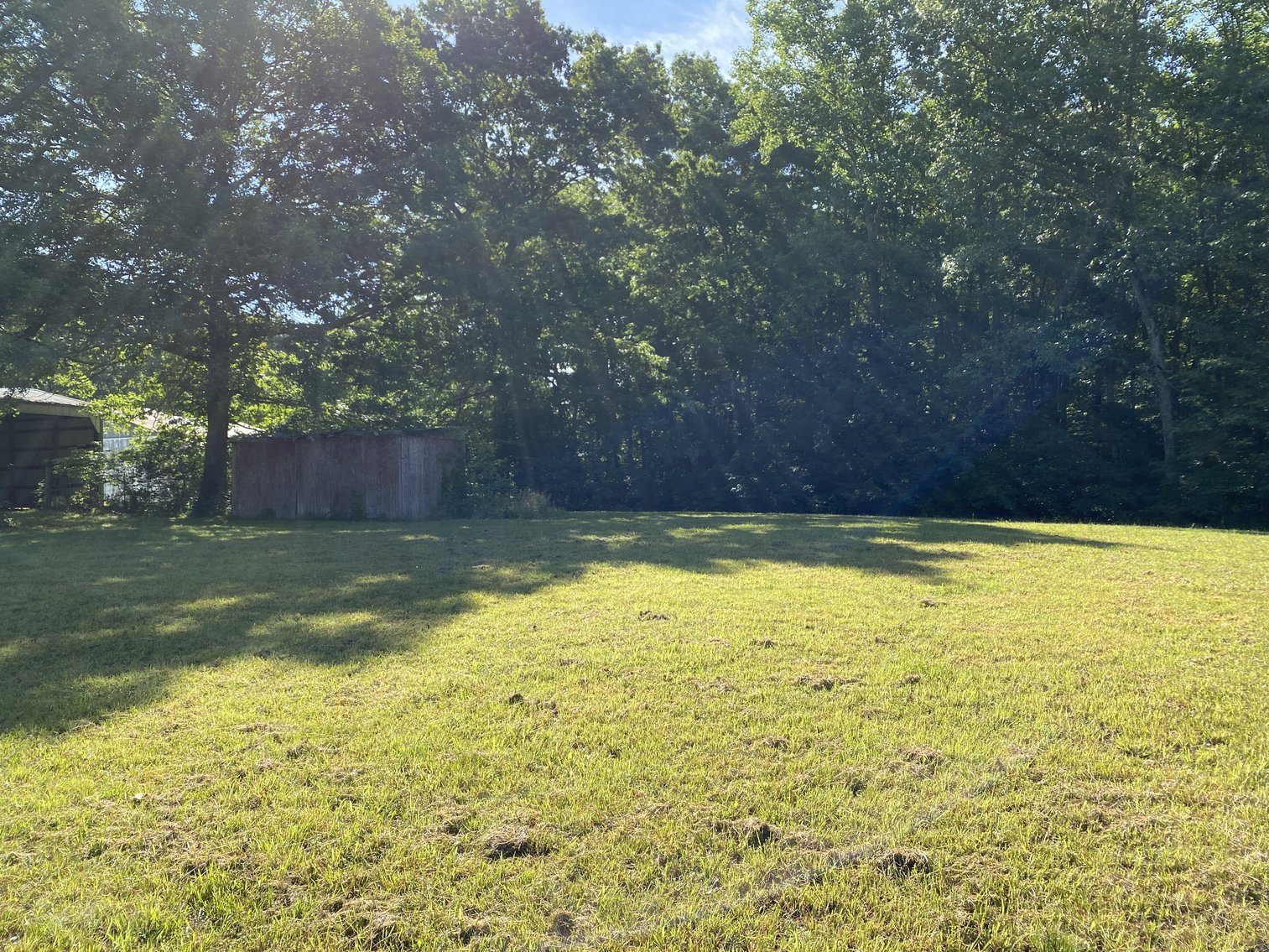 Image for 4 BR/4 BA Home on 29.1 +/- Acres in Orange County, VA--SELLS to the HIGHEST BIDDER!!