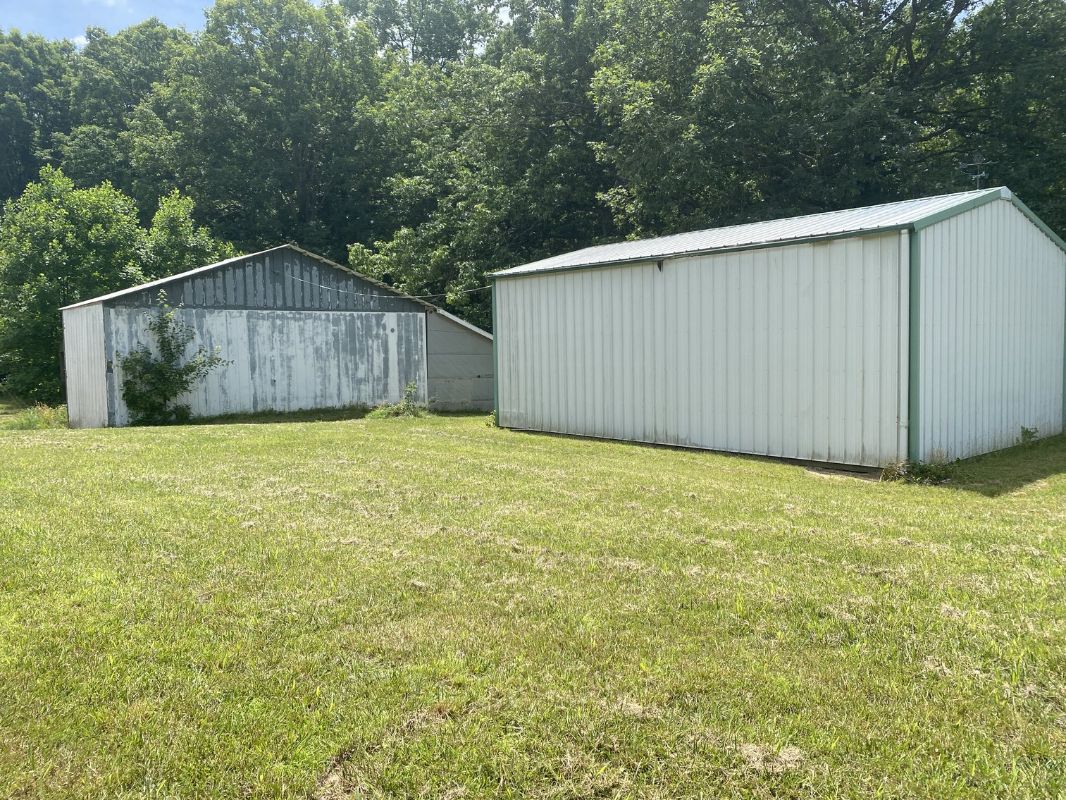 Image for 4 BR/4 BA Home on 29.1 +/- Acres in Orange County, VA--SELLS to the HIGHEST BIDDER!!