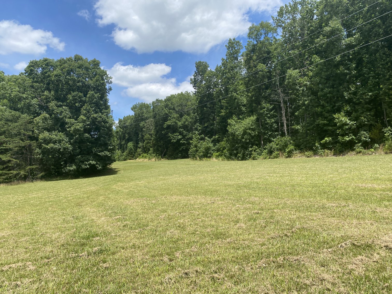 Image for 4 BR/4 BA Home on 29.1 +/- Acres in Orange County, VA--SELLS to the HIGHEST BIDDER!!