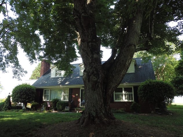 Image for 2223 Farmington Road