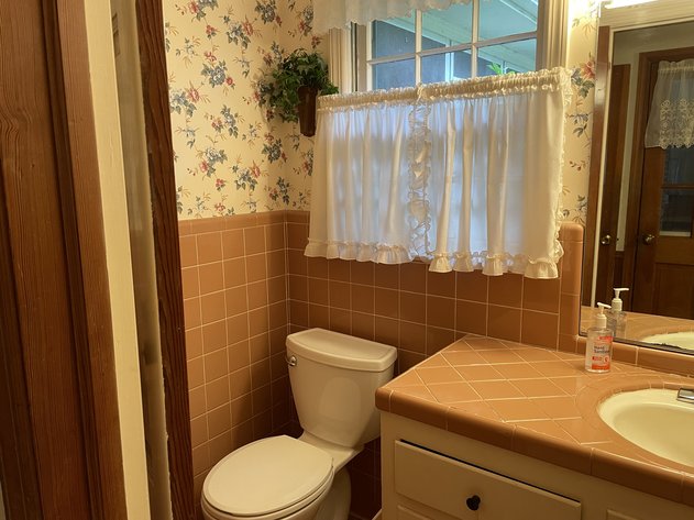 Image for Amazing Sherwood Forest Location