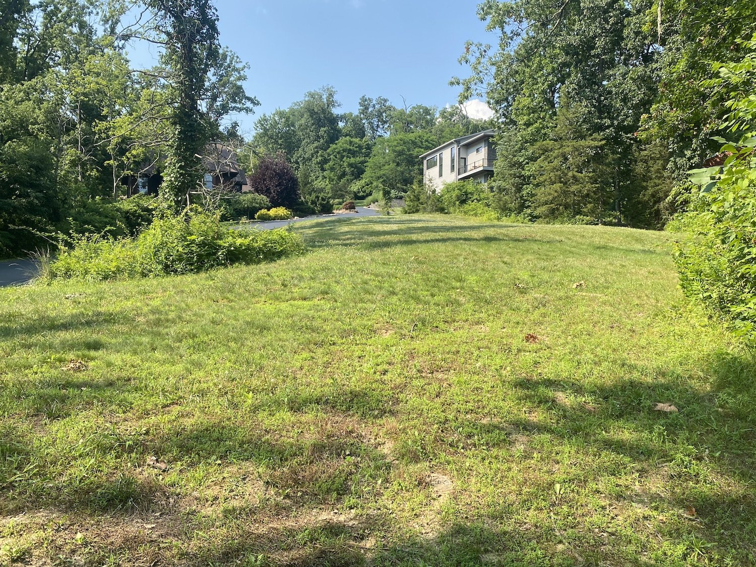 Image for Blue Ash Land Auction