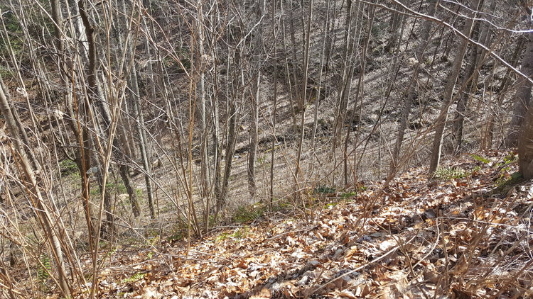 Image for ONLINE AUCTION - Thursday, August 12th - Cullowhee, NC