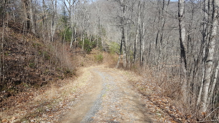 Image for ONLINE AUCTION - Thursday, August 12th - Cullowhee, NC