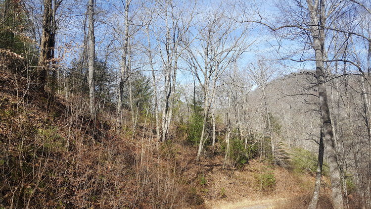 Image for ONLINE AUCTION - Thursday, August 12th - Cullowhee, NC