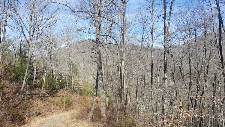 Image for ONLINE AUCTION - Thursday, August 12th - Cullowhee, NC