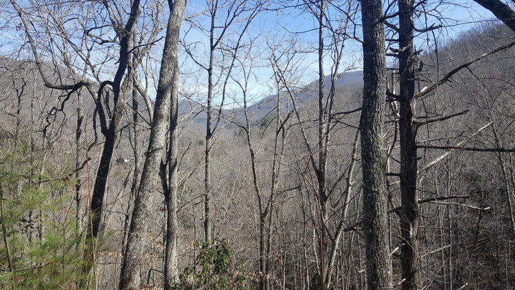 Image for ONLINE AUCTION - Thursday, August 12th - Cullowhee, NC