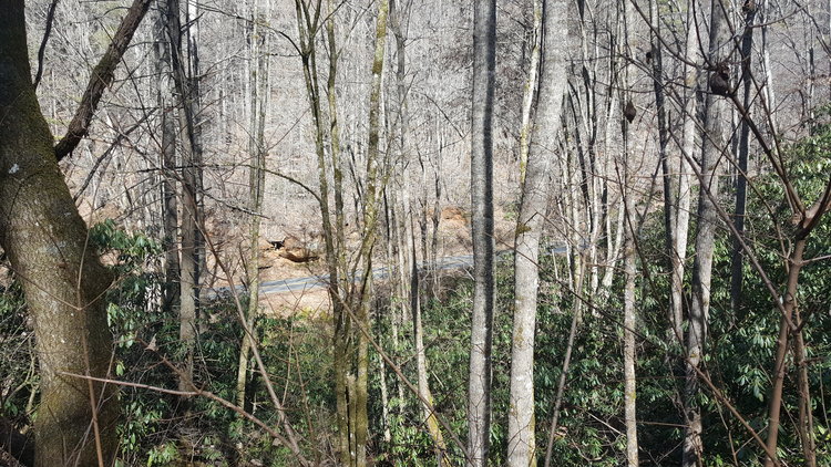 Image for ONLINE AUCTION - Thursday, August 12th - Cullowhee, NC