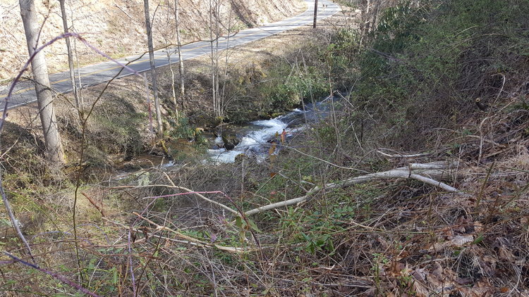 Image for ONLINE AUCTION - Thursday, August 12th - Cullowhee, NC