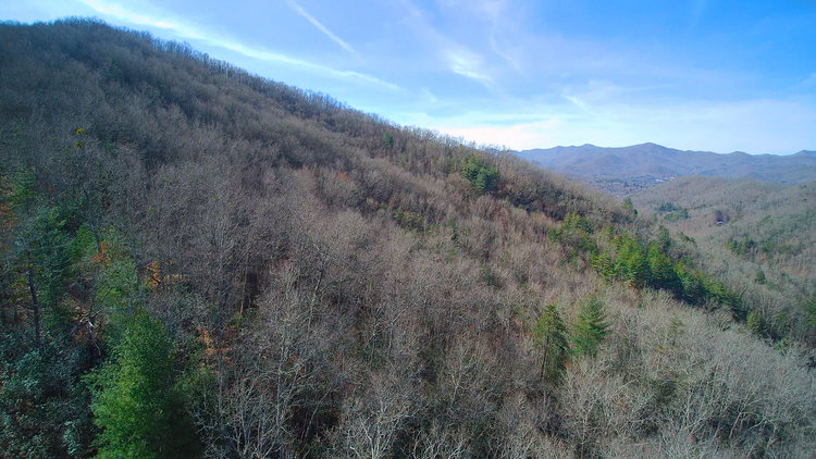 Image for ONLINE AUCTION - Thursday, August 12th - Cullowhee, NC