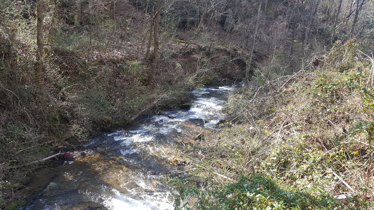 Image for ONLINE AUCTION - Thursday, August 12th - Cullowhee, NC