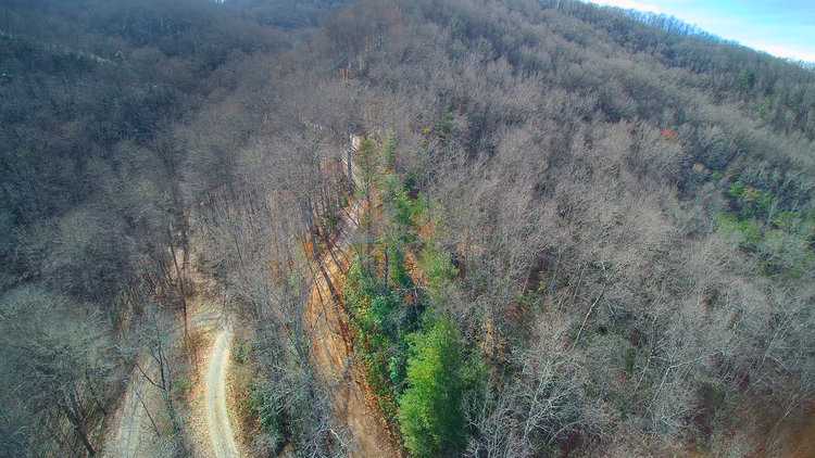 Image for ONLINE AUCTION - Thursday, August 12th - Cullowhee, NC