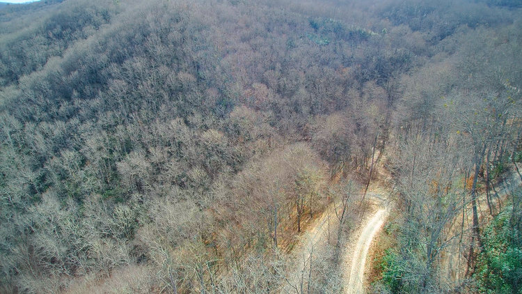 Image for ONLINE AUCTION - Thursday, August 12th - Cullowhee, NC