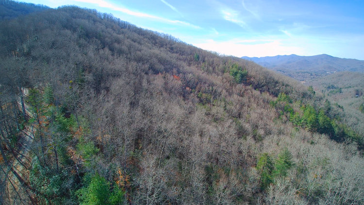 Image for ONLINE AUCTION - Thursday, August 12th - Cullowhee, NC