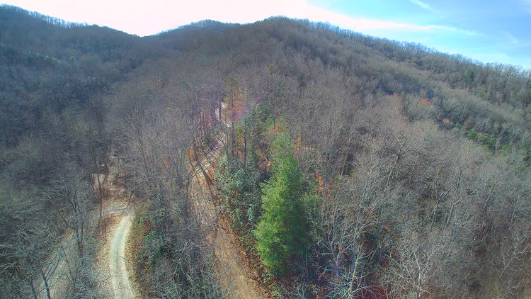 Image for ONLINE AUCTION - Thursday, August 12th - Cullowhee, NC