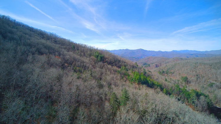 Image for ONLINE AUCTION - Thursday, August 12th - Cullowhee, NC