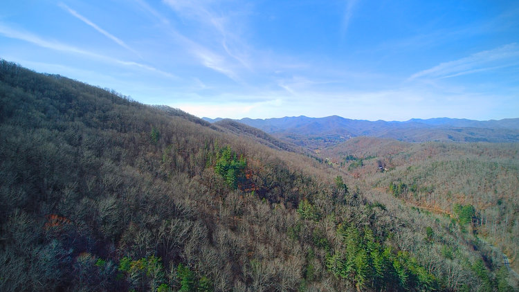 Image for ONLINE AUCTION - Thursday, August 12th - Cullowhee, NC