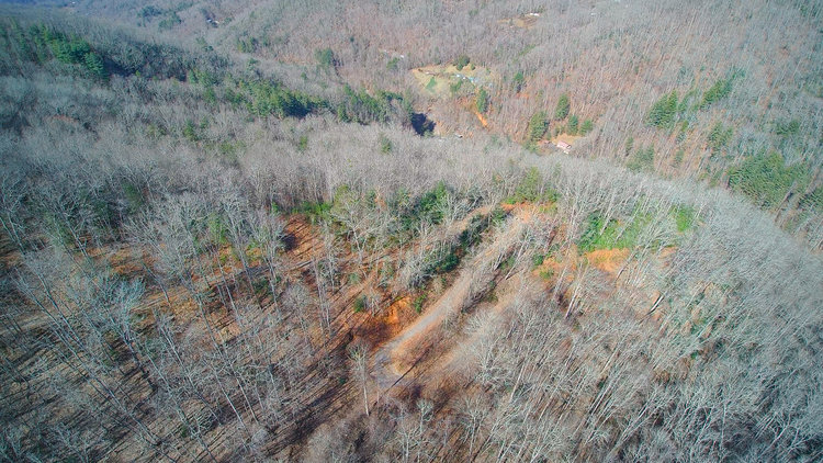 Image for ONLINE AUCTION - Thursday, August 12th - Cullowhee, NC