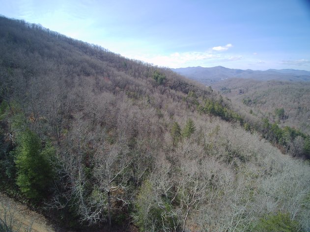 Image for ONLINE AUCTION - Thursday, August 12th - Cullowhee, NC