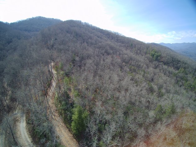 Image for ONLINE AUCTION - Thursday, August 12th - Cullowhee, NC