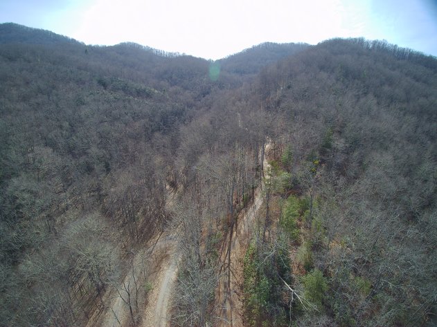 Image for ONLINE AUCTION - Thursday, August 12th - Cullowhee, NC