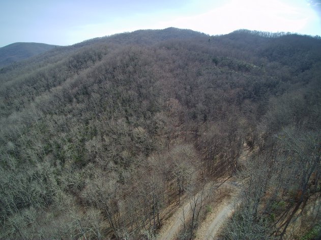 Image for ONLINE AUCTION - Thursday, August 12th - Cullowhee, NC