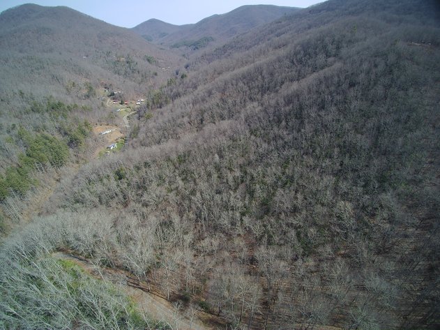 Image for ONLINE AUCTION - Thursday, August 12th - Cullowhee, NC