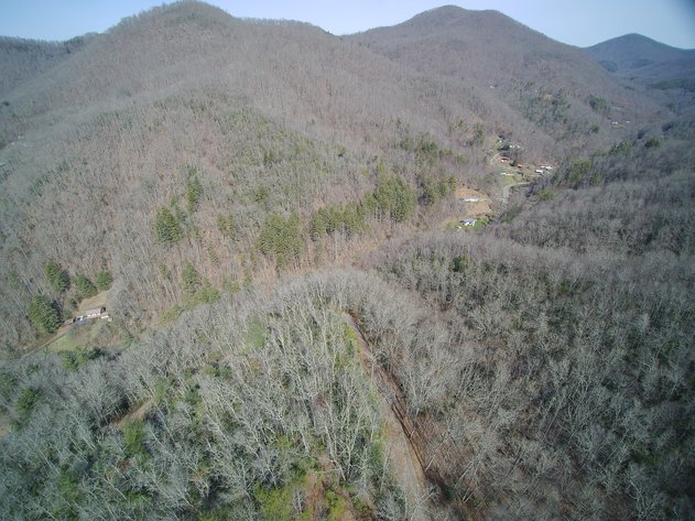 Image for ONLINE AUCTION - Thursday, August 12th - Cullowhee, NC