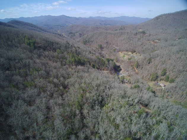 Image for ONLINE AUCTION - Thursday, August 12th - Cullowhee, NC