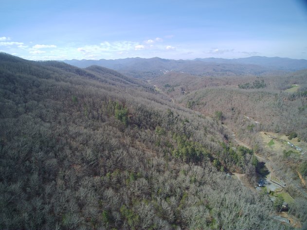 Image for ONLINE AUCTION - Thursday, August 12th - Cullowhee, NC