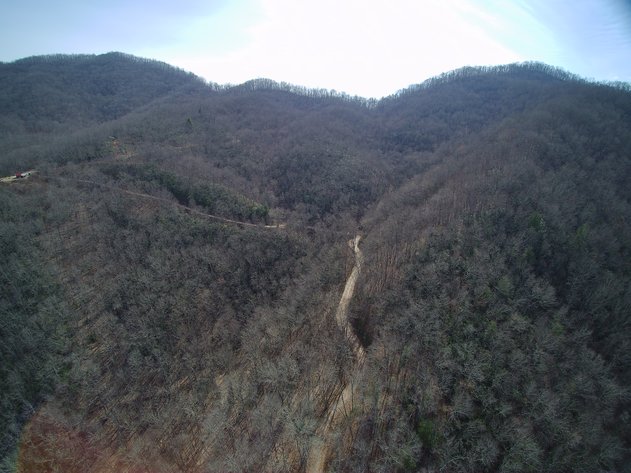 Image for ONLINE AUCTION - Thursday, August 12th - Cullowhee, NC