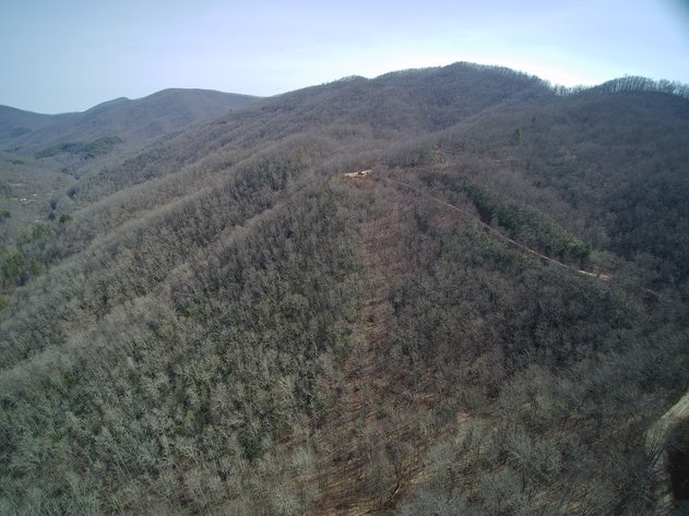 Image for ONLINE AUCTION - Thursday, August 12th - Cullowhee, NC