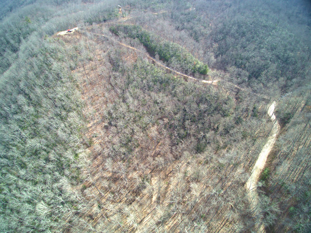 Image for ONLINE AUCTION - Thursday, August 12th - Cullowhee, NC