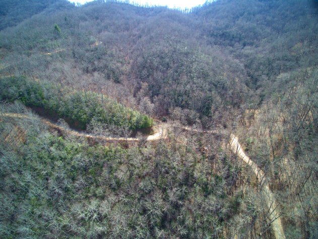 Image for ONLINE AUCTION - Thursday, August 12th - Cullowhee, NC