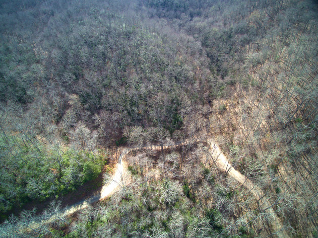 Image for ONLINE AUCTION - Thursday, August 12th - Cullowhee, NC