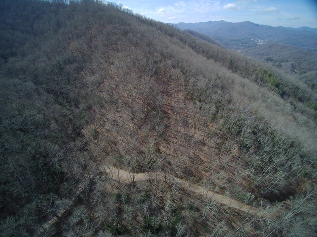 Image for ONLINE AUCTION - Thursday, August 12th - Cullowhee, NC