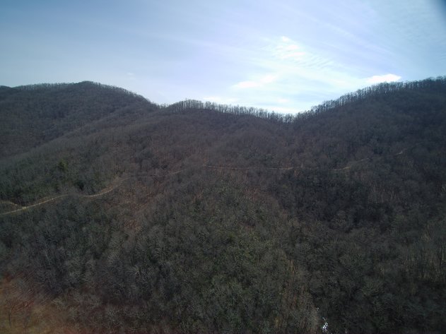 Image for ONLINE AUCTION - Thursday, August 12th - Cullowhee, NC