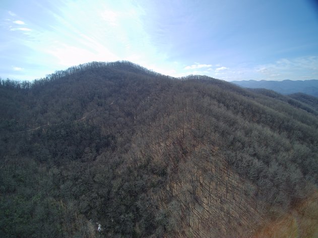 Image for ONLINE AUCTION - Thursday, August 12th - Cullowhee, NC