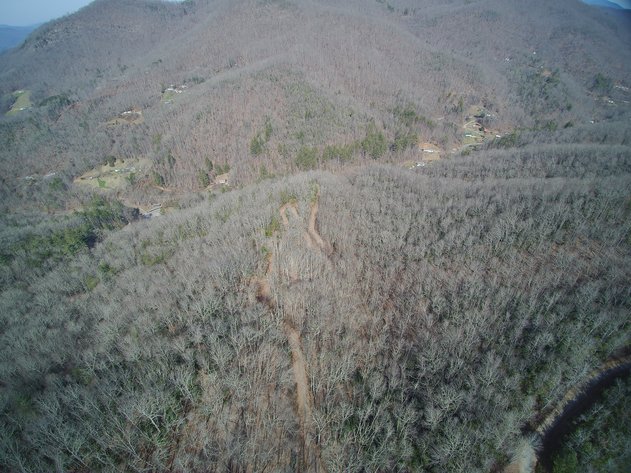 Image for ONLINE AUCTION - Thursday, August 12th - Cullowhee, NC