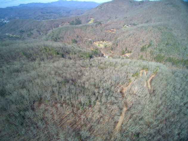 Image for ONLINE AUCTION - Thursday, August 12th - Cullowhee, NC