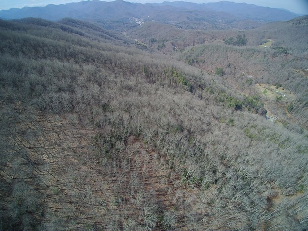 Image for ONLINE AUCTION - Thursday, August 12th - Cullowhee, NC