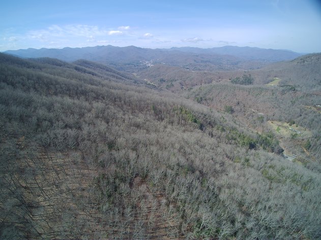 Image for ONLINE AUCTION - Thursday, August 12th - Cullowhee, NC