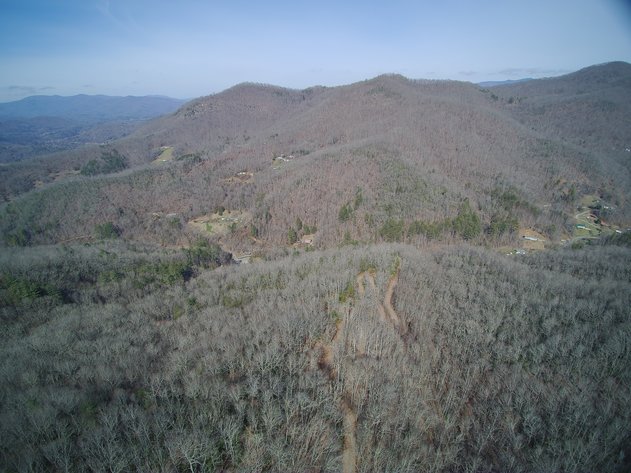 Image for ONLINE AUCTION - Thursday, August 12th - Cullowhee, NC